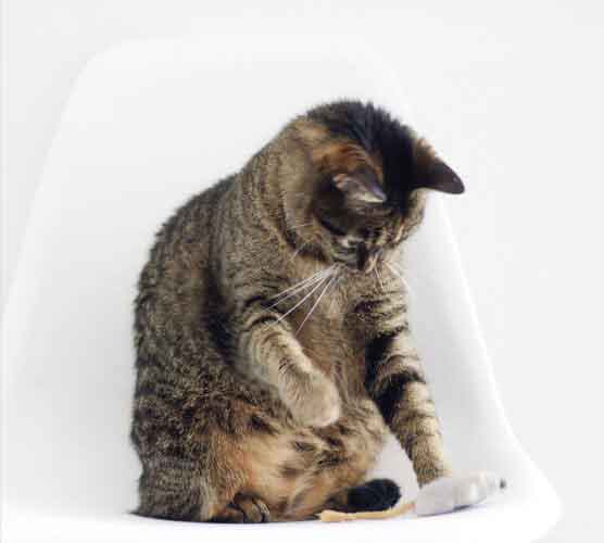 游戏代充便宜的云拨电话app